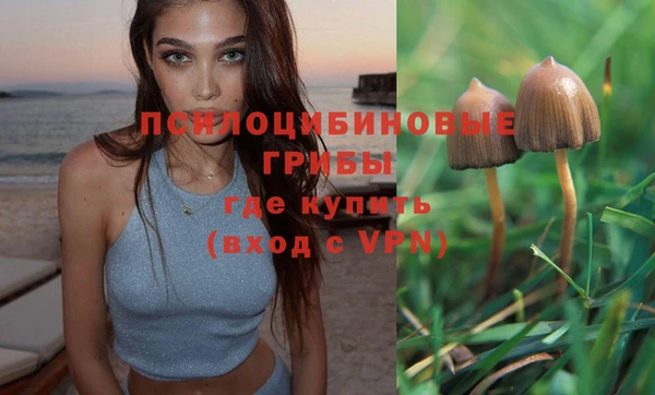 mix Алексин